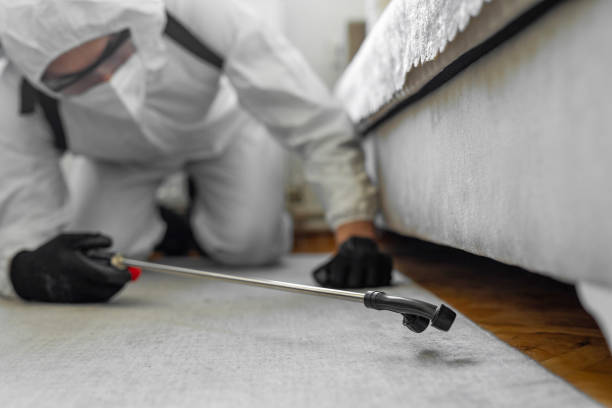 Professional Bed Bug Control technician working in Royalton, IL